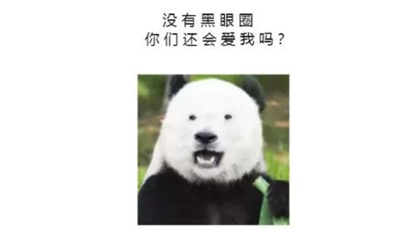 熊貓的黑眼圈