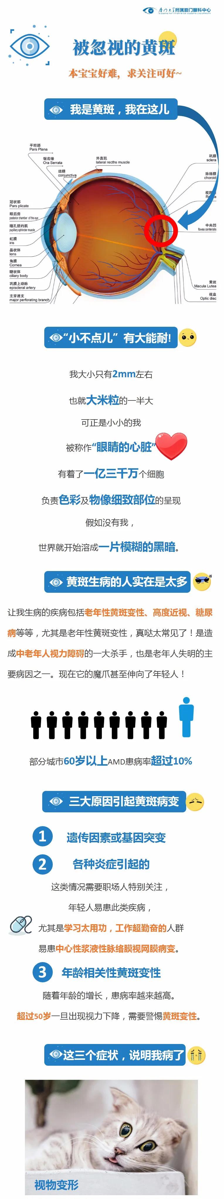 黃斑變性